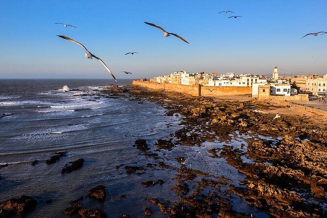 Private Essaouira day trip from Marrakech - The Sum Up