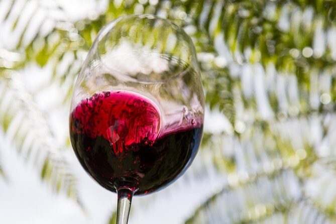 Private Essence of Waiheke Wine Tour - A Closer Look at the Waiheke Wine Tour