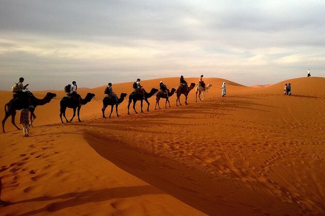 Private Evening Desert Safari with BBQ dinner - Key Points