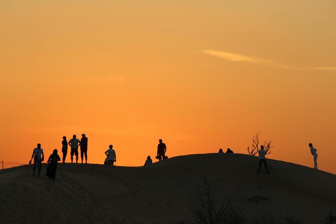 Private Evening Desert Safari with BBQ Dinner Sand Boarding - Who Is This Tour Best For?