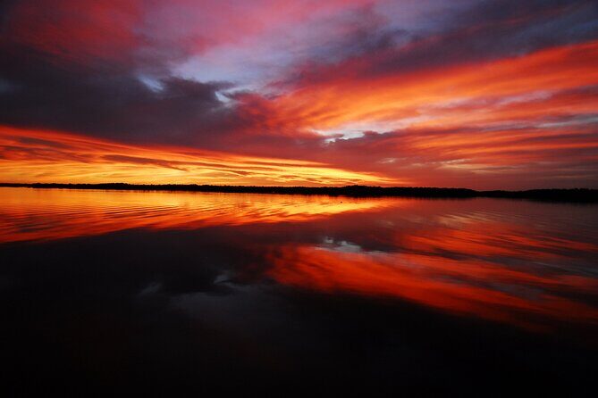 Private Everglades 10,000 Islands Photo and Birding Boat Safari - Final Thoughts