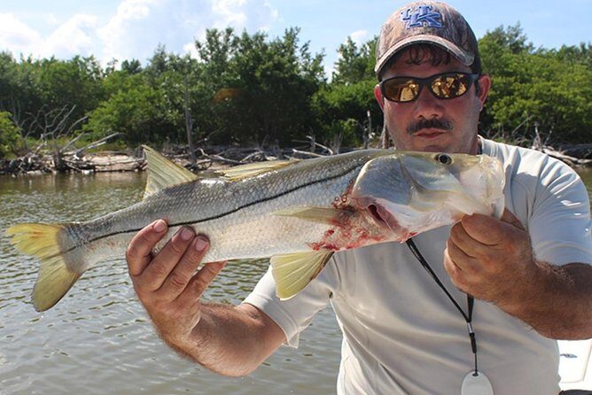 Private Everglades Inshore Fishing Charter in Chokoloskee - Setting the Scene: What to Expect from the Itinerary