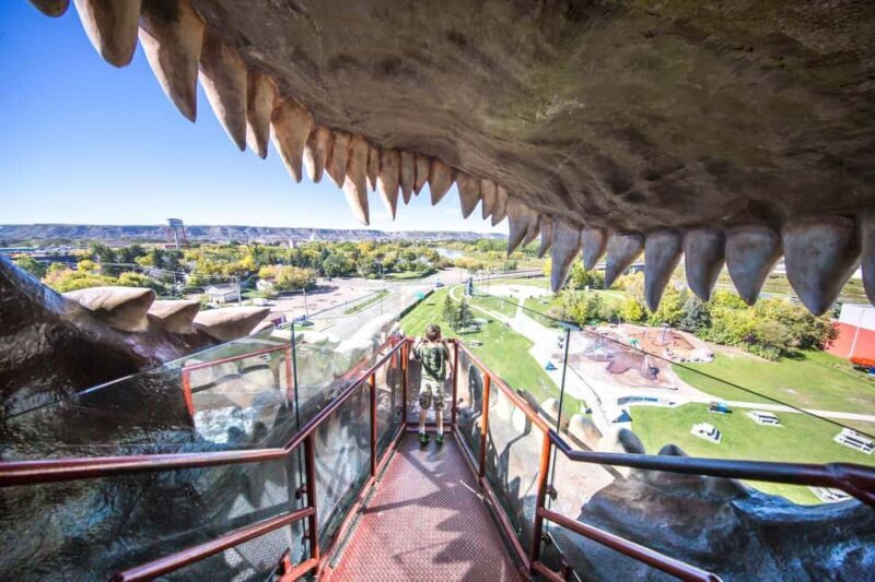 Private Exclusive Drumheller Tour with Royal Tyrrell Museum - Final Thoughts: Who Will Love This Tour?