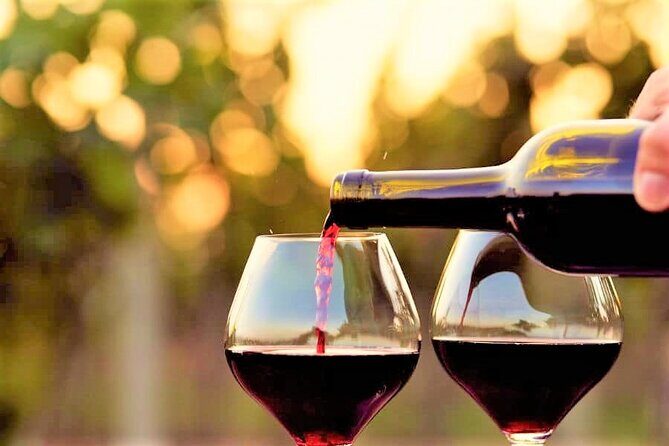 Private Excursion from Orange County Including Lunch + Tastings - Authentic Experiences and Customer Feedback