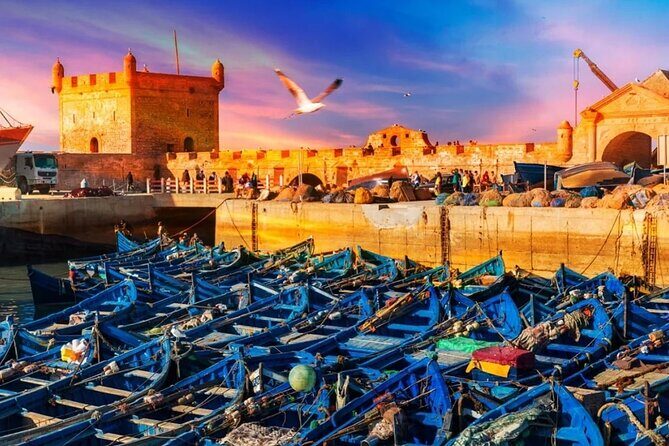 Private excursion to Essaouira - Discovering Essaouira: What to Expect from the Tour