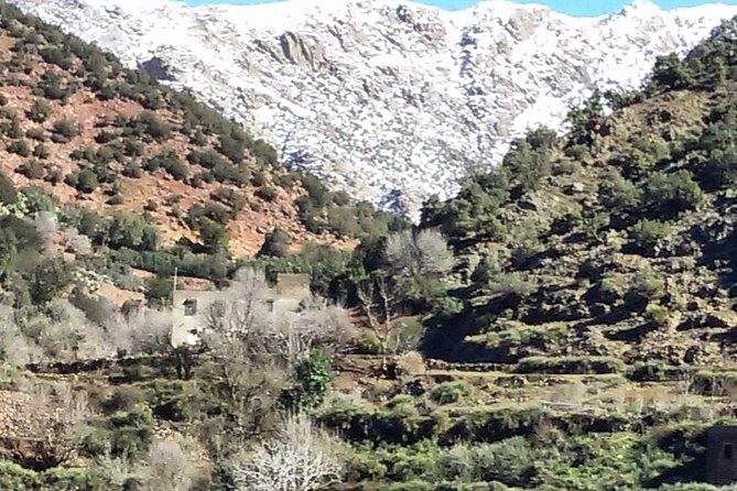 Private Excursion to Ourika Valley . - Final Summary