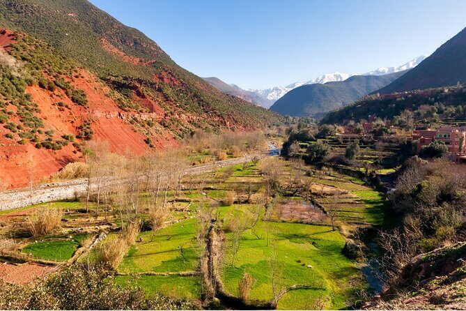Private Excursion to Ourika Valley - local guide from Marrakesh - The Journey Begins: Convenient Pickup & Comfortable Transport