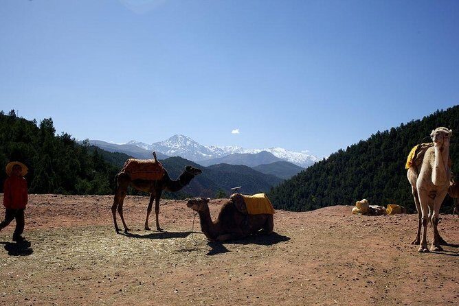 Private Excursion to Ourika Valley - local guide from Marrakesh - Considerations and Practical Tips
