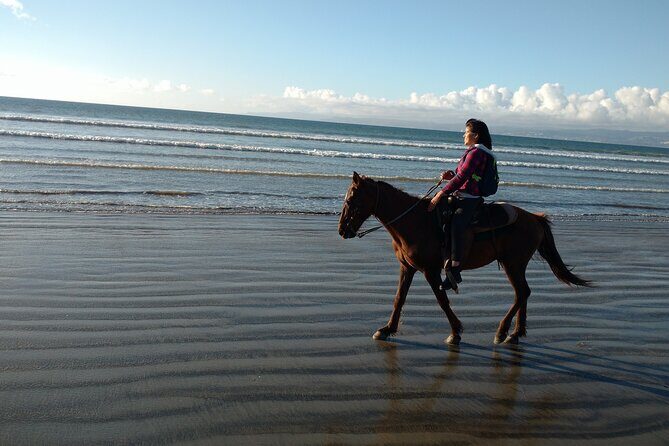 Private excursion to the bufadora and horseback riding on the beach - The Sum Up