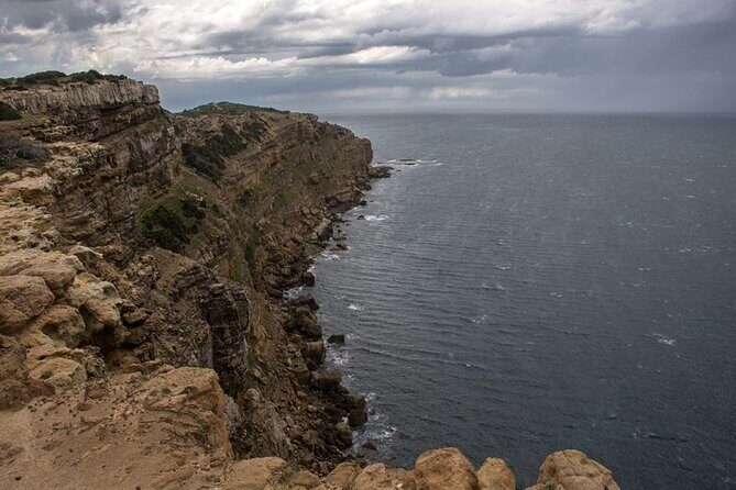 Private Excursion to the Cap Bon Peninsula - Key Points