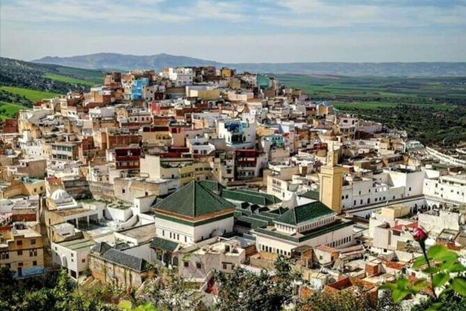 Private Excursion to Volubilis Meknes and Moulay Idriss from Fez - In-Depth Review of the Tour Experience