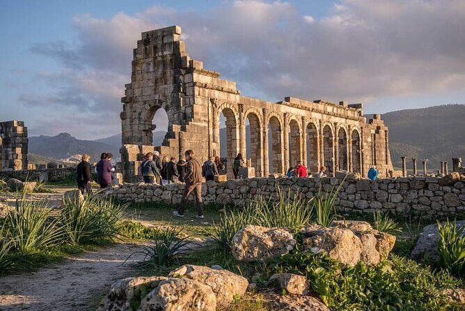 Private Excursion to Volubilis Meknes and Moulay Idriss from Fez - Who Will Love This Tour?