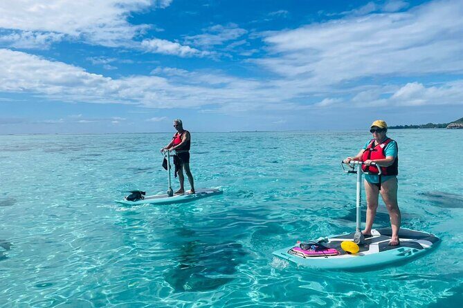 Private Excursion with E-Board in Moorea with snorkeling - An Overview of the Excursion