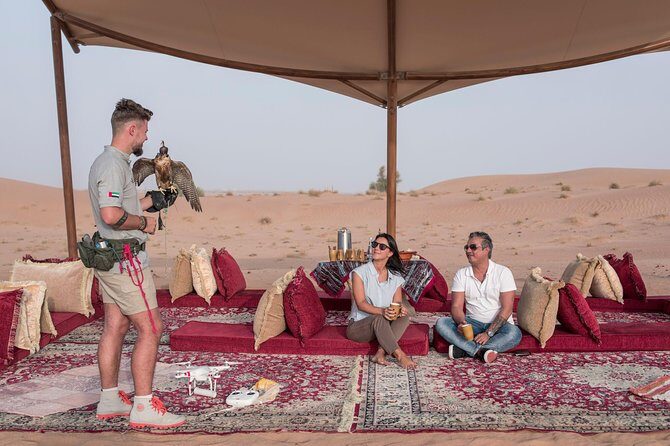 Private Falconry Experience and Nature Desert Safari in Dubai - What Could Be Better?