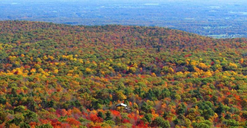 Private Fall Foliage Helicopter Tour of the Hudson Valley - Practical Details and Considerations