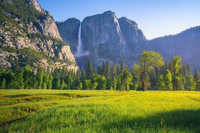 Private Family Hike in Yosemite - A Deep Dive into the Yosemite Private Family Hike