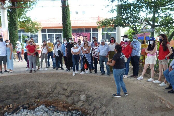 Private Family Tour visitng Mitla, Mezcal Factory, HIerve el Agua - Practical Details and Considerations