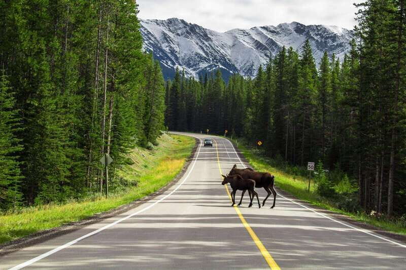 Private: Famous MOVIES + MOUNTAINS Photo Safari Drive - 4hrs - Who Would Enjoy This Tour?