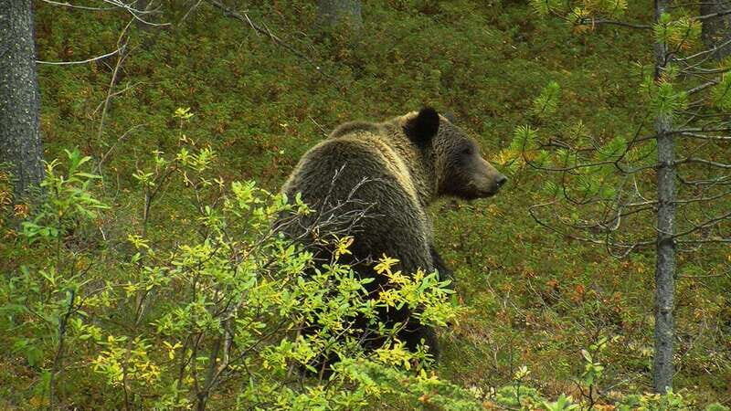 Private: Famous MOVIES + MOUNTAINS Photo Safari Drive - 4hrs - The Sum Up: Is It Worth It?