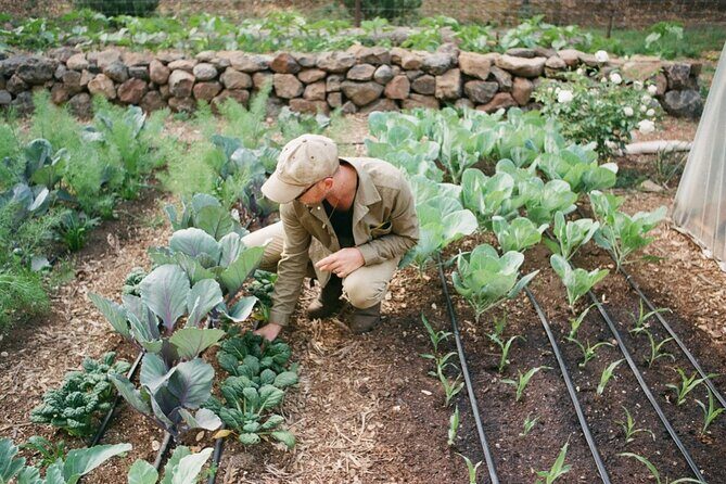 Private Farm Workshop in Napa Valley - Practical Details & Considerations