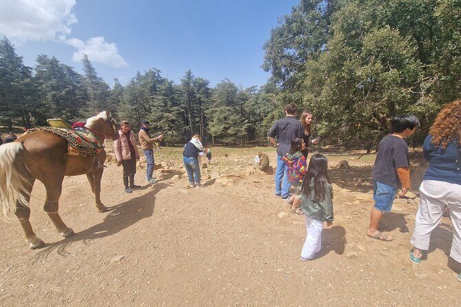 Private Fes to middle atlas with hiking in cedar forest - Introduction