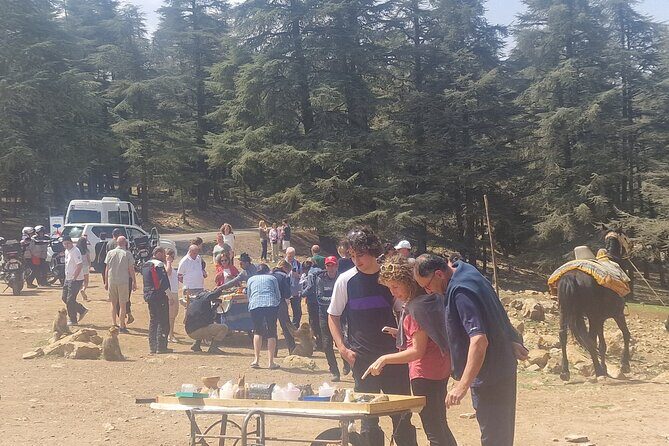 Private Fes to middle atlas with hiking in cedar forest - Key Points