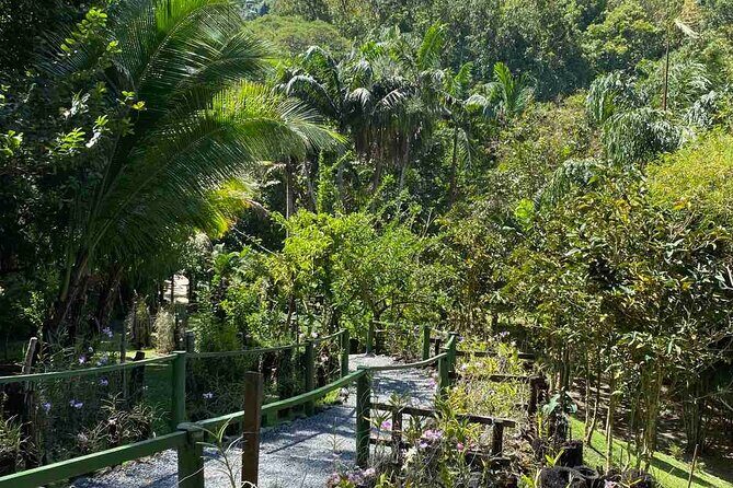 Private Fiji Tour - In-Depth Look at the Itinerary