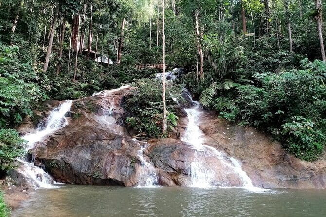 Private Fireflies Tour with Blue Tears and Seafood Dinner - Frequently Asked Questions