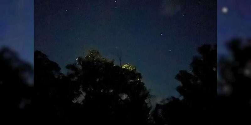 Private Firefly Watching Night Cruise on Bohol Abatan River - The Sum Up