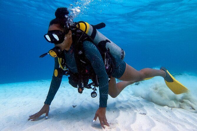 Private First-Time Dive on Arubas Reef and Wreck Site - What the Reviews Say