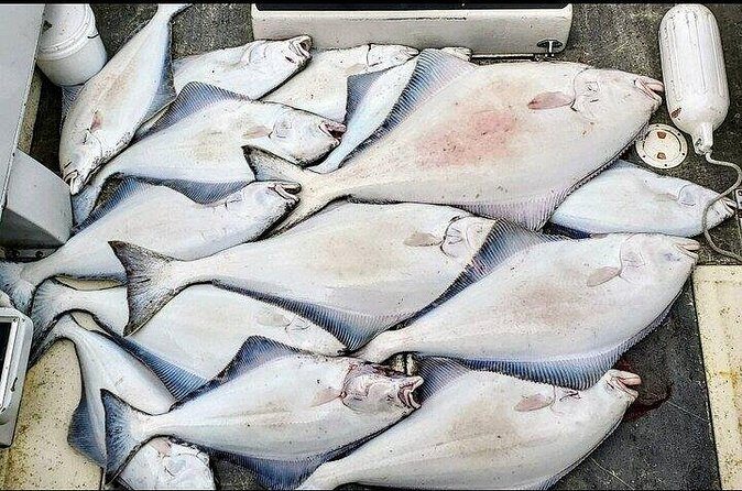 Private Fishing Adventure in Icy Strait Hoonah Alaska - A Practical Look at the Private Fishing Adventure