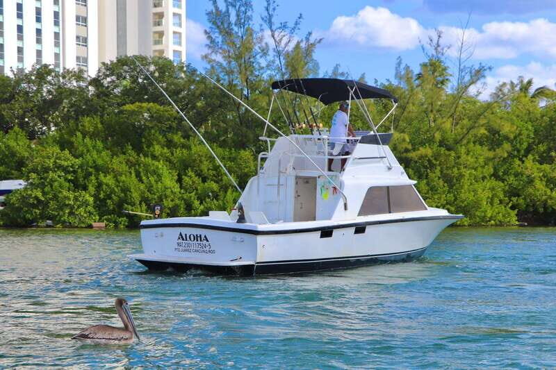 Private fishing charter 31 feet for maximun 6 people - Who Should Consider This Trip?