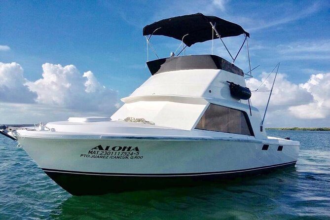 Private fishing charter Bertram 31ft 6 pax max if you don't fish you don't pay - The Itinerary: What’s Included and What To Expect