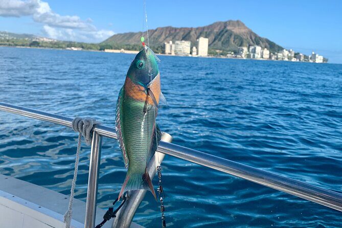 Private Fishing Charter for Family and Friends in Honolulu - Itinerary and What to Expect