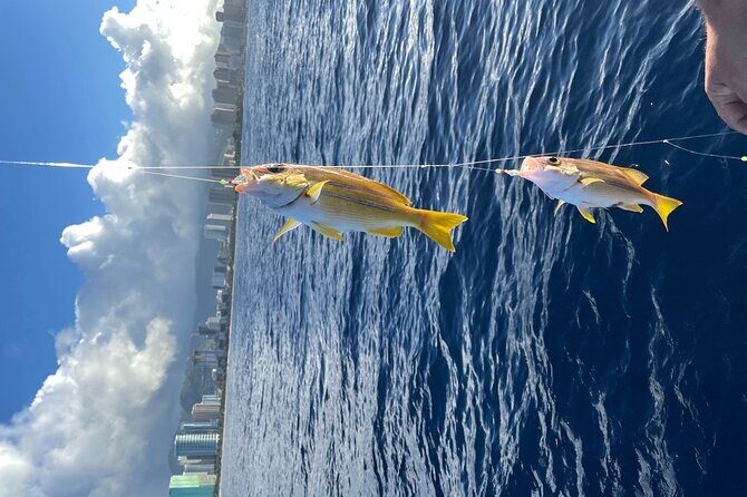 Private Fishing Charter for Family and Friends in Honolulu - Pricing and Value