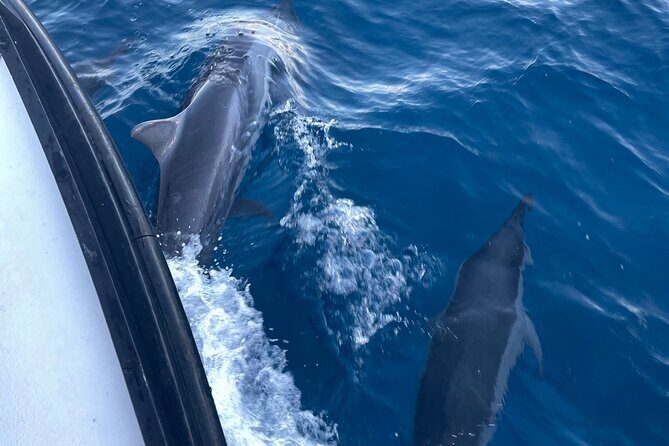 Private Fishing Charter for Family and Friends in Honolulu - Who Should Consider This Tour?