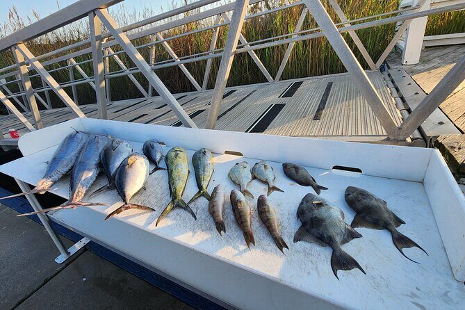 Private Fishing Charter in North Myrtle Beach - What You Can Expect Onboard