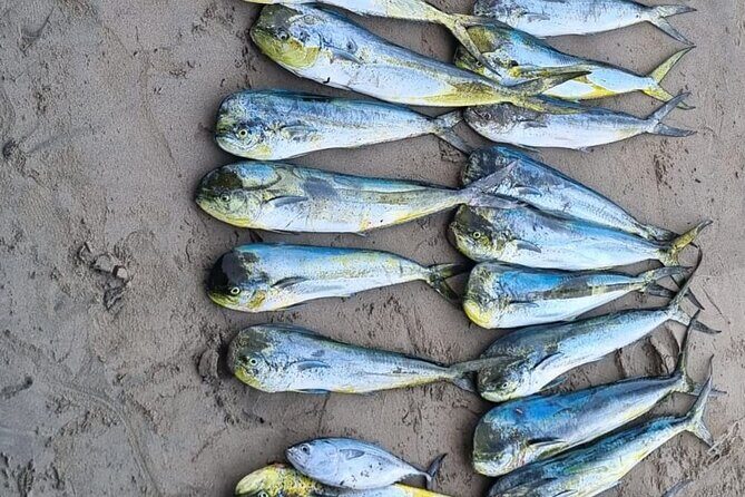 Private Fishing Experience in Guayabitos - Key Points