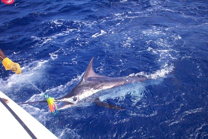 Private Fishing in St Lucia Charters - Key Points