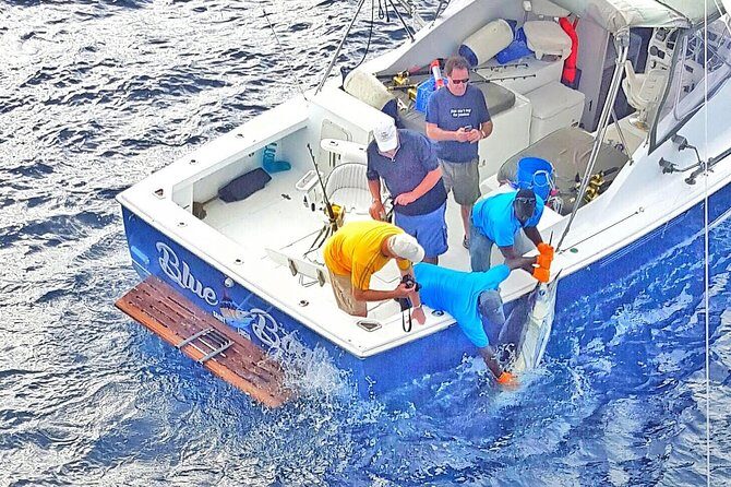 Private Fishing in St Lucia Charters - An Overview of the Experience