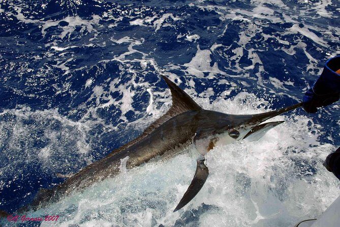 Private Fishing in St Lucia Charters - Practical Tips for Booking and Enjoying Your Trip