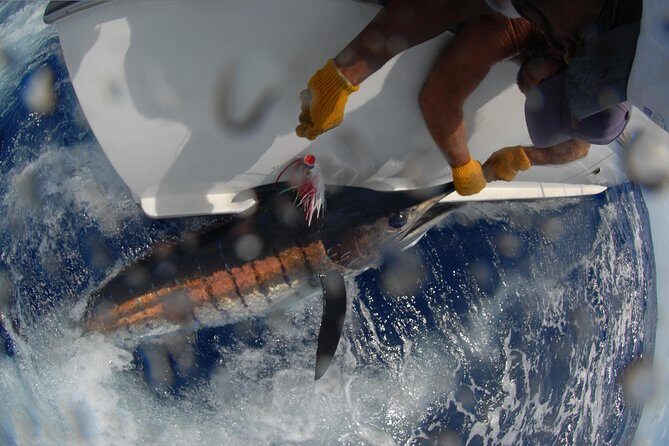 Private Fishing in St Lucia Charters - Who Should Consider This Tour?
