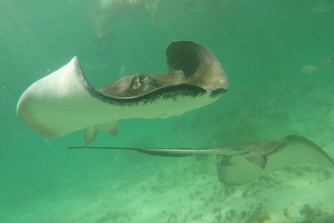 Private Fishing Tour in Yacht Playa del Carmen - Final Thoughts