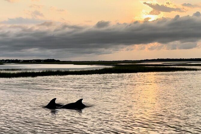 Private Folly River Sunset Dolphin Cruise - Discovering the Private Folly River Sunset Dolphin Cruise