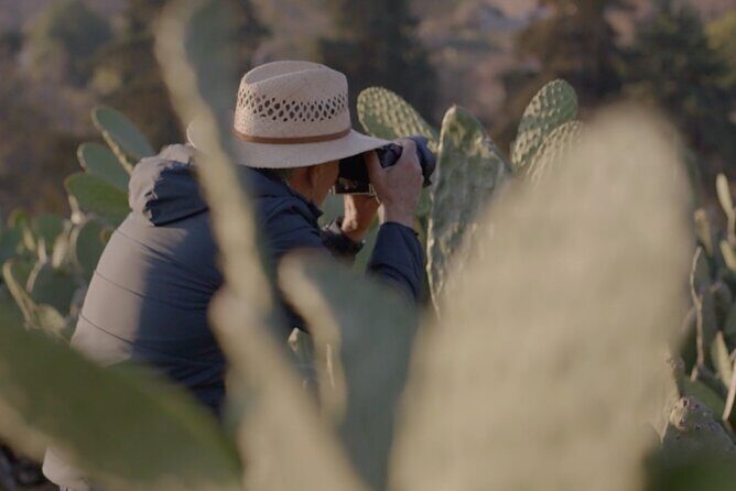 Private Food Tasting and Filmmaking Tour in Mexico City - The Experience in Perspective