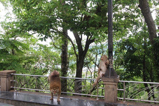 Private food Tour + Sightseeing +Thai Cooking class - FAQ