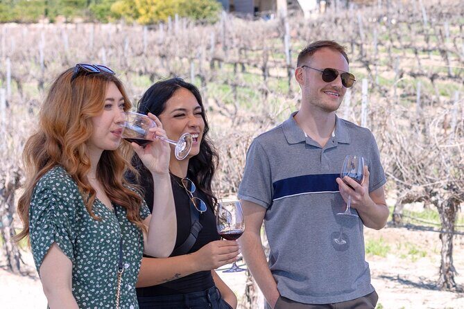 Private Four-Hour Wine Tasting Adventure of Temecula Valley - Final Thoughts