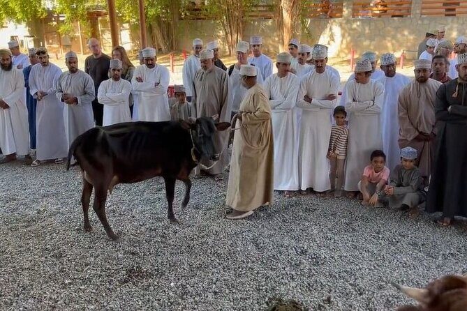 Private Friday Cattle Market-Nizwa and Jebel Akhdar-Full-Day Tour - Key Points