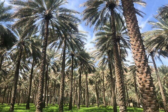 Private Friday Cattle Market-Nizwa and Jebel Akhdar-Full-Day Tour - FAQ