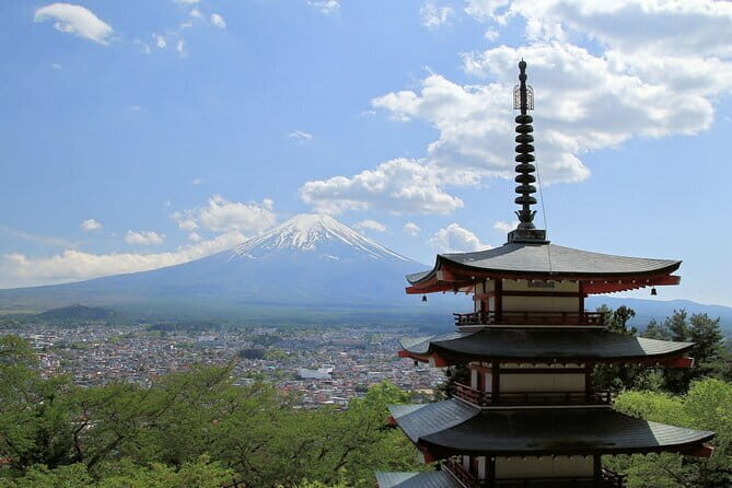 Private Fuji Half-day Tour with Hotel Pickup and Japanese guide - What Past Travelers Say